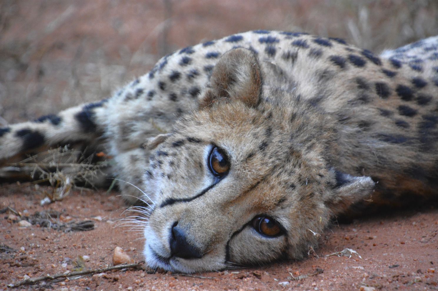 Photography: A circle of life